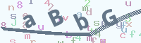 看不清楚？點(diǎn)擊可獲取新的驗證碼.
