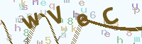 看不清楚？點(diǎn)擊可獲取新的驗(yàn)證碼.