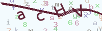 看不清楚？點(diǎn)擊可獲取新的驗(yàn)證碼.