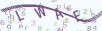看不清楚？點(diǎn)擊可獲取新的驗(yàn)證碼.