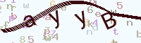 看不清楚？點(diǎn)擊可獲取新的驗(yàn)證碼.