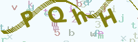 看不清楚？點(diǎn)擊可獲取新的驗(yàn)證碼.