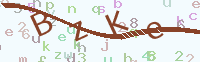 看不清楚？點(diǎn)擊可獲取新的驗(yàn)證碼.