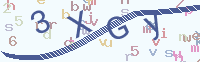 看不清楚？點(diǎn)擊可獲取新的驗(yàn)證碼.