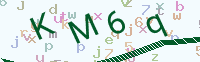 看不清楚？點(diǎn)擊可獲取新的驗(yàn)證碼.