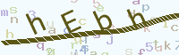 看不清楚？點(diǎn)擊可獲取新的驗(yàn)證碼.