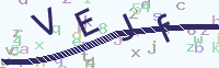 看不清楚？點(diǎn)擊可獲取新的驗(yàn)證碼.