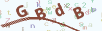 看不清楚？點(diǎn)擊可獲取新的驗(yàn)證碼.