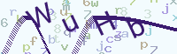 看不清楚？點(diǎn)擊可獲取新的驗(yàn)證碼.