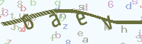 看不清楚？點(diǎn)擊可獲取新的驗(yàn)證碼.