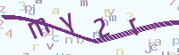 看不清楚？點(diǎn)擊可獲取新的驗(yàn)證碼.