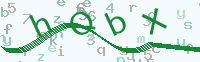 看不清楚？點(diǎn)擊可獲取新的驗(yàn)證碼.