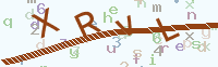 看不清楚？點(diǎn)擊可獲取新的驗(yàn)證碼.