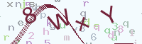 看不清楚？點(diǎn)擊可獲取新的驗(yàn)證碼.