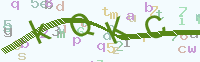 看不清楚？點(diǎn)擊可獲取新的驗(yàn)證碼.