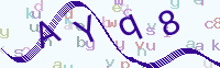 看不清楚？點(diǎn)擊可獲取新的驗證碼.
