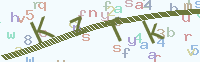 看不清楚？點(diǎn)擊可獲取新的驗(yàn)證碼.