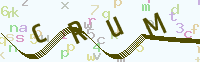 看不清楚？點(diǎn)擊可獲取新的驗(yàn)證碼.