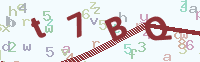 看不清楚？點(diǎn)擊可獲取新的驗(yàn)證碼.