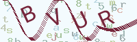 看不清楚？點(diǎn)擊可獲取新的驗(yàn)證碼.