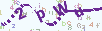 看不清楚？點(diǎn)擊可獲取新的驗(yàn)證碼.