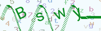 看不清楚？點(diǎn)擊可獲取新的驗(yàn)證碼.