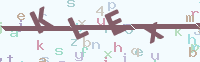 看不清楚？點(diǎn)擊可獲取新的驗(yàn)證碼.
