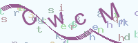 看不清楚？點(diǎn)擊可獲取新的驗(yàn)證碼.