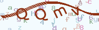 看不清楚？點(diǎn)擊可獲取新的驗(yàn)證碼.