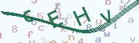看不清楚？點(diǎn)擊可獲取新的驗(yàn)證碼.