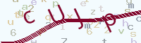 看不清楚？點(diǎn)擊可獲取新的驗(yàn)證碼.