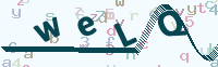 看不清楚？點(diǎn)擊可獲取新的驗(yàn)證碼.