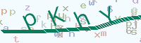 看不清楚？點(diǎn)擊可獲取新的驗(yàn)證碼.