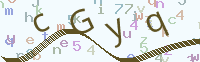 看不清楚？點(diǎn)擊可獲取新的驗(yàn)證碼.
