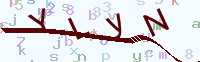 看不清楚？點(diǎn)擊可獲取新的驗(yàn)證碼.