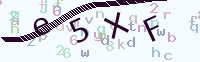看不清楚？點(diǎn)擊可獲取新的驗(yàn)證碼.
