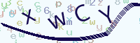 看不清楚？點(diǎn)擊可獲取新的驗(yàn)證碼.