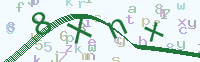 看不清楚？點(diǎn)擊可獲取新的驗(yàn)證碼.
