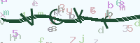 看不清楚？點(diǎn)擊可獲取新的驗(yàn)證碼.