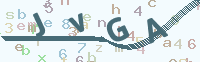 看不清楚？點(diǎn)擊可獲取新的驗(yàn)證碼.