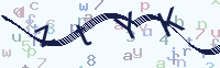 看不清楚？點(diǎn)擊可獲取新的驗(yàn)證碼.