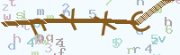 看不清楚？点击可获取新的验证码.