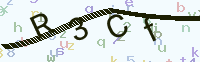 看不清楚？點(diǎn)擊可獲取新的驗(yàn)證碼.