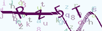 看不清楚？點(diǎn)擊可獲取新的驗(yàn)證碼.