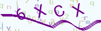 看不清楚？點(diǎn)擊可獲取新的驗(yàn)證碼.