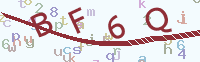 看不清楚？點(diǎn)擊可獲取新的驗(yàn)證碼.