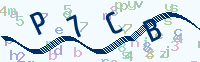 看不清楚？點(diǎn)擊可獲取新的驗(yàn)證碼.