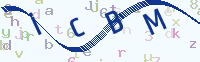 看不清楚？點(diǎn)擊可獲取新的驗(yàn)證碼.