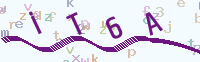看不清楚？點(diǎn)擊可獲取新的驗(yàn)證碼.