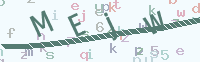 看不清楚？點(diǎn)擊可獲取新的驗(yàn)證碼.